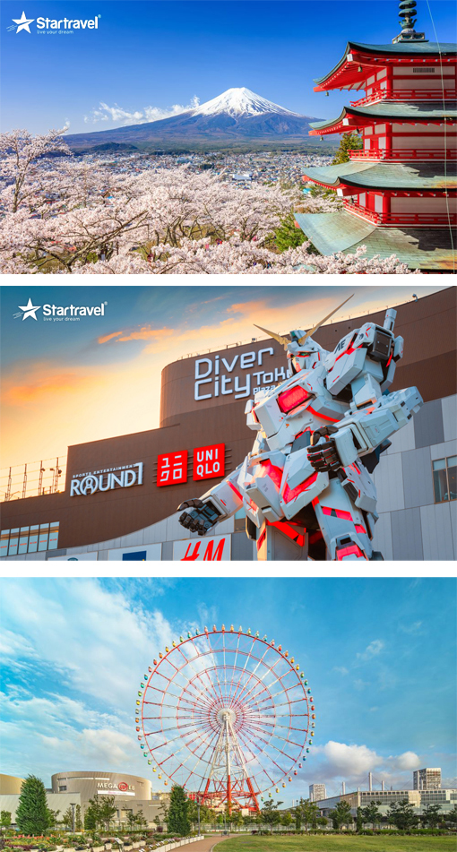 Ngày 01: HỒ CHÍ MINH – NARITA (Ăn sáng, trưa, tối)